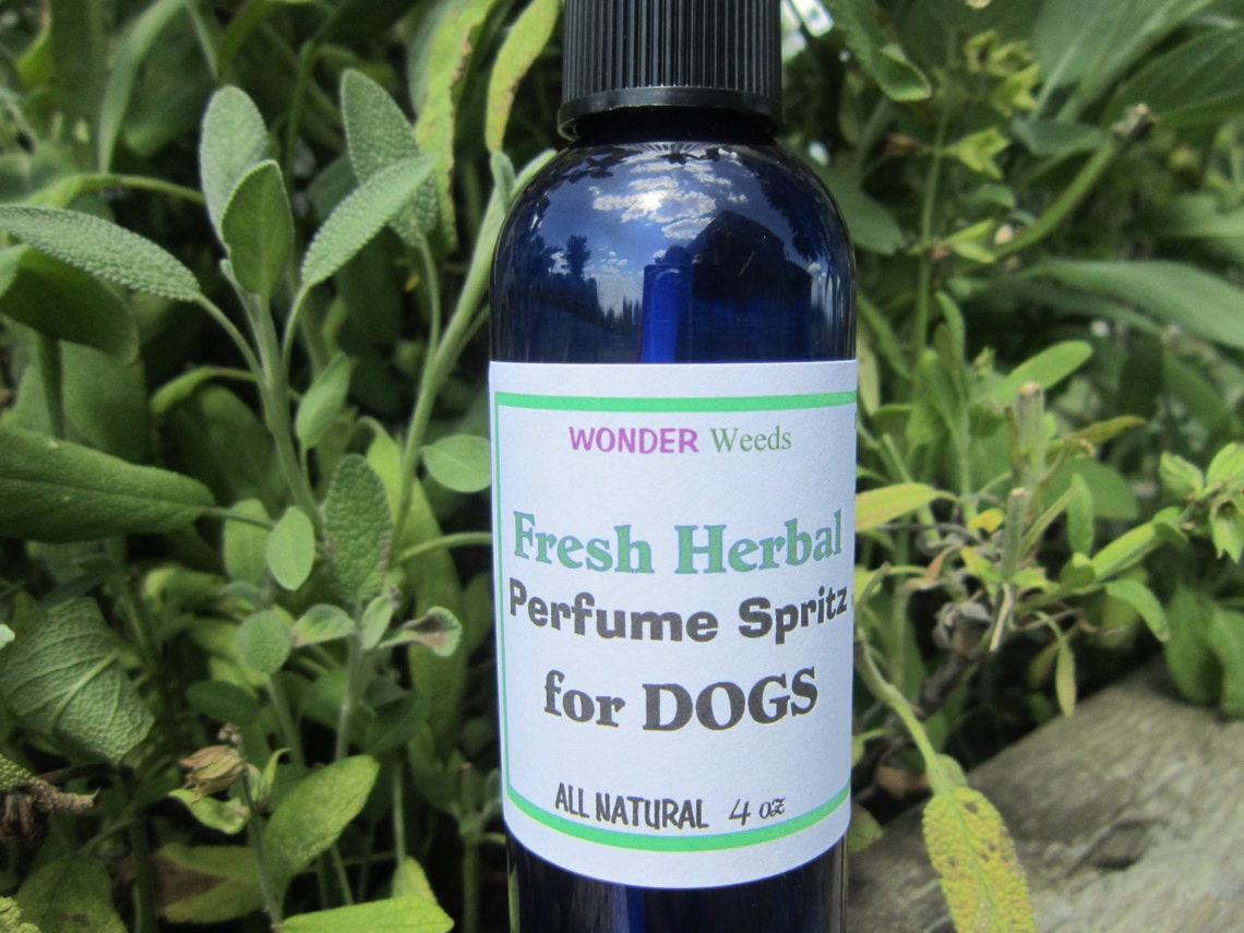 DOG Perfume Spray ALL Natural Choose Your Scent Etsy New Zealand