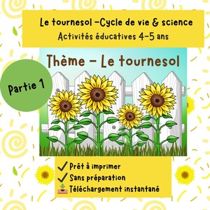 Peut inclure: Image éducative sur le thème du tournesol, avec des illustrations de fleurs derrière une clôture blanche. Le texte comprend "Le tournesol - Cycle de vie & science" et "Activités éducatives 4-5 ans", pour les enfants de 4 à 5 ans.