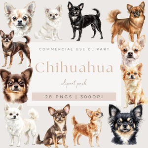 Watercolor Chihuahua Clipart, Cute Dog Clipart, PNG Digital Clipart Animal Pet Clipart, Dog Breed Illustration Dog Breeds Clipart Commercial