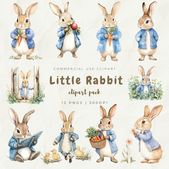 Watercolor Little Rabbit Clipart, Peter Rabbit Beatrix Potter Style Clipart, Cute Rabbit Illustration, Baby Shower Nursery PNG