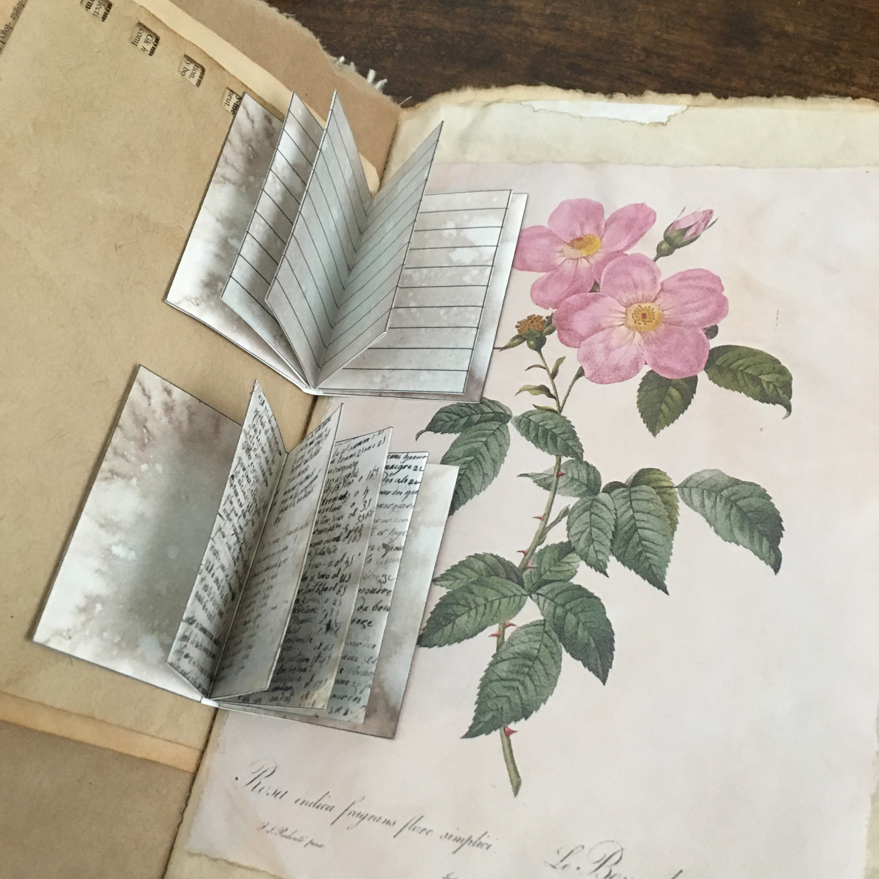 Vintage Mini Books Digital Download Printable | Etsy