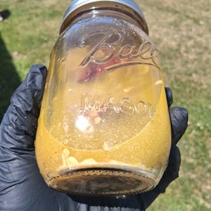 May include: A clear glass Ball Mason jar with a silver lid, filled with a yellow liquid. The jar is held by a gloved hand. The word "Ball" is embossed on the jar.