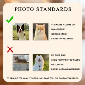 May include: A graphic with the text "PHOTO STANDARDS" and examples of good and bad photos. The "good" examples include a dog and a cat. The "bad" examples include a cat and a white dog. Text includes "VCAPTURE A CLOSE-UP" and "HIGH-QUALITY".