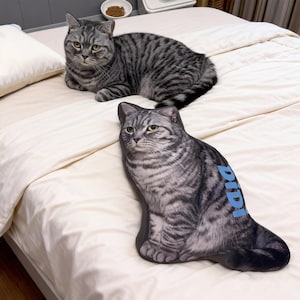 May include: A gray tabby cat rests on a bed next to a cat-shaped pillow. The pillow has a realistic print of a cat with the word "DIDI" in blue. The cat on the bed has similar markings.