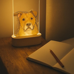 Sketch Style Pet Memorial Acrylic Lamp – Engraved LED Portrait Light – Personalized Dog or Cat Keepsake Gift (5.7 inch x 8.46 inch)