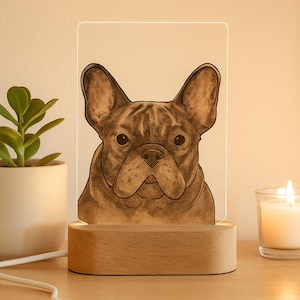 Watercolor Style Pet Memorial Acrylic Lamp – Engraved LED Portrait Light – Personalized Dog or Cat Keepsake Gift (5.7 inch x 8.46 inch)