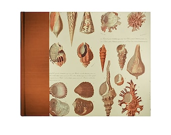 Guestbook Large  Seashells