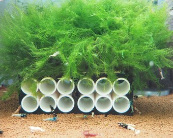 Shrimp Shelter Gives your shrimp security and a place to grow moss, ferns, buce, etc