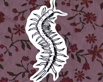 Centipede Transparent 2.15 x 3.5 Inch Waterproof Sticker
