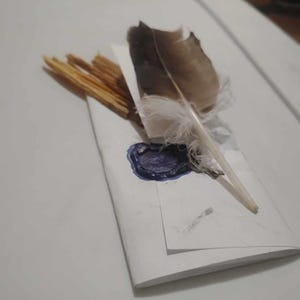 Carta escrita a mano y sellada con cera.