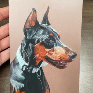 Doberman postcard - Doberman drawing - Portrait