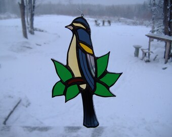 Evening groosbeak\/leaves