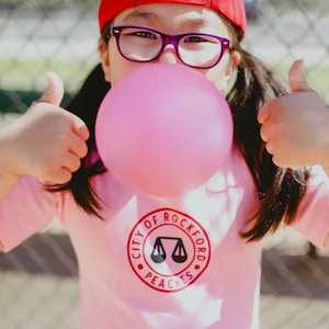 Rockford Peaches Costume, Pink Girls Dress, Baseball Costume, Cute Kids Costume, Halloween, Toddler Dress Up, Photoshoot Idea, Georgia Peach image 9