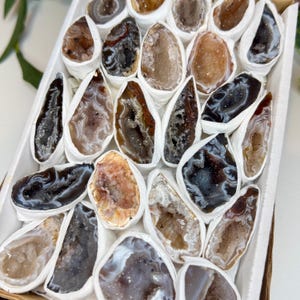 Brazilian Agate Geode – Polished Natural Stone (Intuitively Chosen)