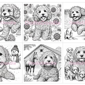 May include: A collection of black and white illustrations featuring a doodle dog in various settings. The dog is shown playing with a rope, sitting in a field of sunflowers, running on a beach, sitting in the snow with a snowman, sitting in a barn with a horse, and surrounded by puppies.