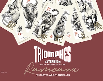 Chinesische Tierkreis-Tarotkarten – Erweiterung der 12 asiatischen Zeichen, Wahrsage-Orakel, Kartenlegen, Spiel der Triumphe, Esoterik