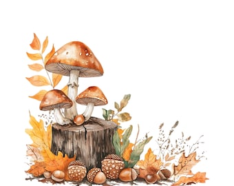 Mushroom Clip Art, Enchanted Forest PNGs, Vintage Watercolor Illustrations for Digital Downloads and Crafts