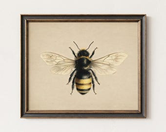 Bumblebee Wall Art Printable, Vintage Botanical Bee Illustration, Farmhouse Nature Decor, Instant Digital Download