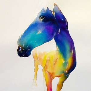 REGENBOGEN-PFERD 20 x 16 Druck in Wasser Bunter Aquarelldruck eines Pferdes mit Rose helles Pferd PRINT Archivpapier fröhliche Tierkunst