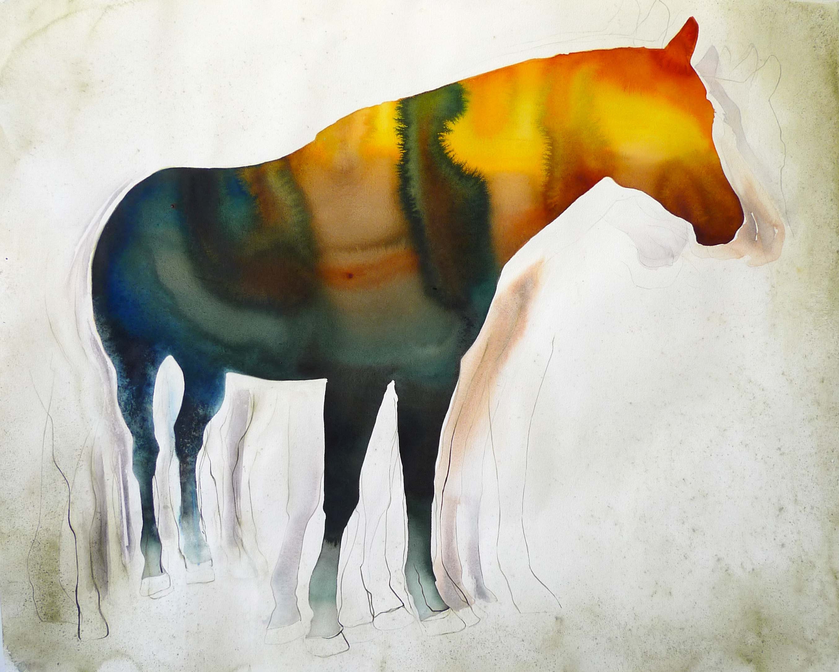 Horse With No Name 35X50 Original Watercolor Painting Of | Etsy Canada