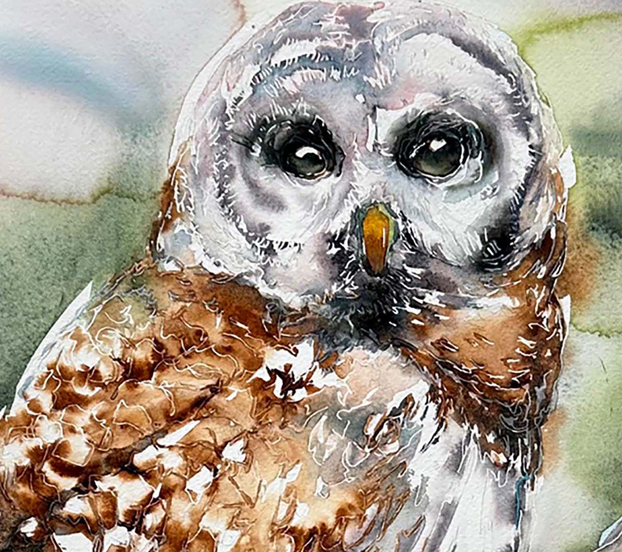 BARN OWL 22 x 15" watercolor of natural in organic scene with subtle gray and pleasant tones