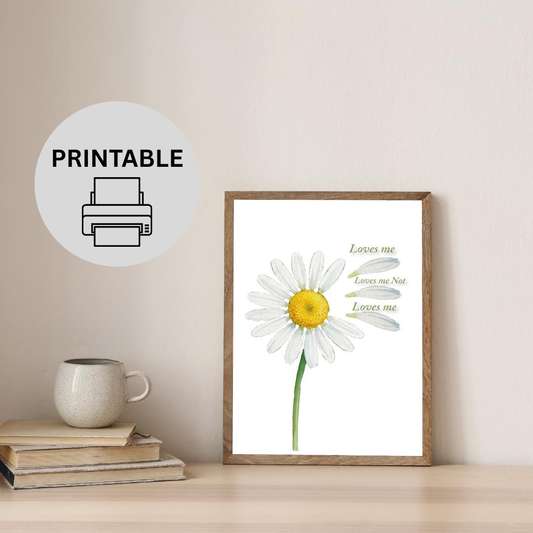 Loves Me Not Daisy Watercolor Print | Romantic Minimalist Flower ...