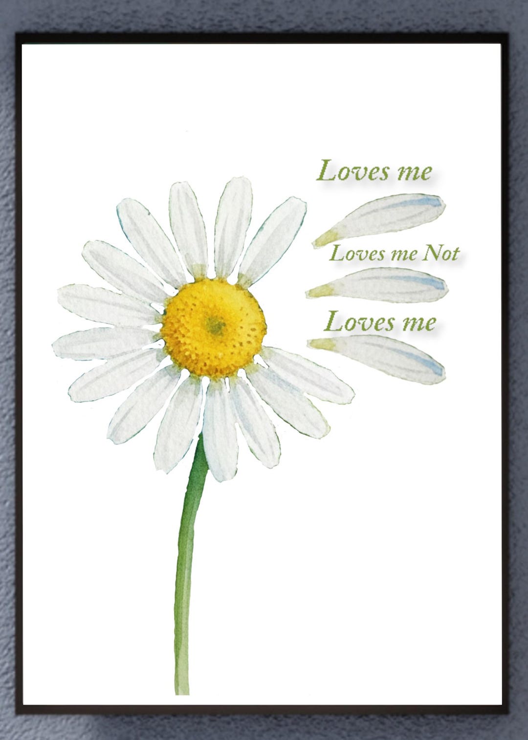 Loves Me Not Daisy Watercolor Print | Romantic Minimalist Flower ...