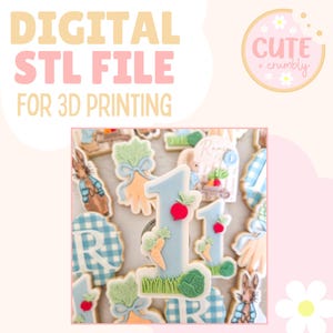 Puede incluir: Archivo STL digital para impresión 3D. La imagen presenta galletas de azúcar decoradas con el tema de Peter Rabbit. Las galletas incluyen el número 1, zanahorias, rábanos y la letra R. Las galletas son de color azul claro, naranja, verde y blanco.