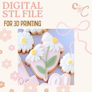 May include: Daisy-shaped biscuits with white petals and yellow centres, and flower-on-stem biscuits, decorated with pink icing and green leaves. The image includes the text "DIGITAL STL FILE FOR 3D PRINTING".