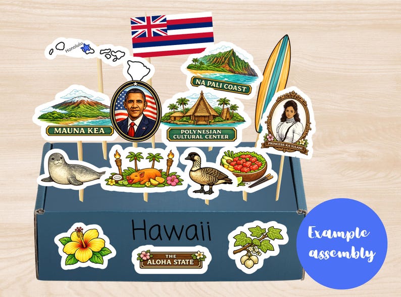 State Float Kit Hawaii 5th Grade State Float Kit - Etsy