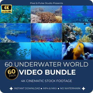 Può includere: Un collage di scene sottomarine con squali, barriere coralline e banchi di pesci. L'immagine è etichettata come "60 Underwater World Video Bundle" con il testo "4K Cinematic Stock Footage" e "Instant Download".