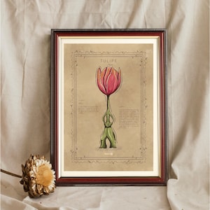 TULIPE / AFFICHE BOTANIQUE