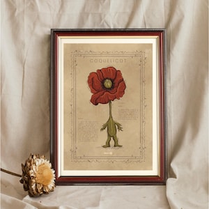 POPPY / BOTANICAL POSTER