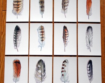 Red Tailed Hawk Etsy