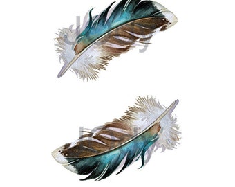 Two Mallard Feathers - Archival Quality Print 8 x 10