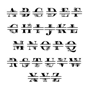 May include: Black and white alphabet letters with floral designs incorporated into the letters. The letters are split in half with a line through the middle.