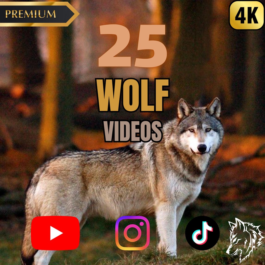 Wolves Edit Premium Wolf Aesthetic Video Pack | Elite Short Clips for Cinematic ...