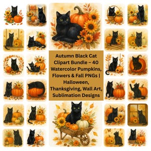 Pacchetto di clipart di gatti neri autunnali: 40 zucche acquerellate e fiori autunnali / PNG di Halloween e del Ringraziamento