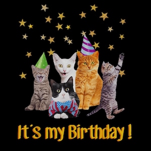 私の誕生日かわいい猫の鳴き声PNGデジタル