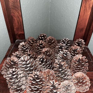 Pine Cones for Home Decor from Nature Decor for Table Centerpiece Pine Cones for Craft Project Pine Cones for Potpourri Pine Cones
