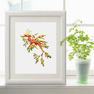 Leafy Sea Dragon Watercolor Printable Art, Seahorse Printable Art, Digital Download Print, Seadragon print, Seahorse painting, Beach Decor