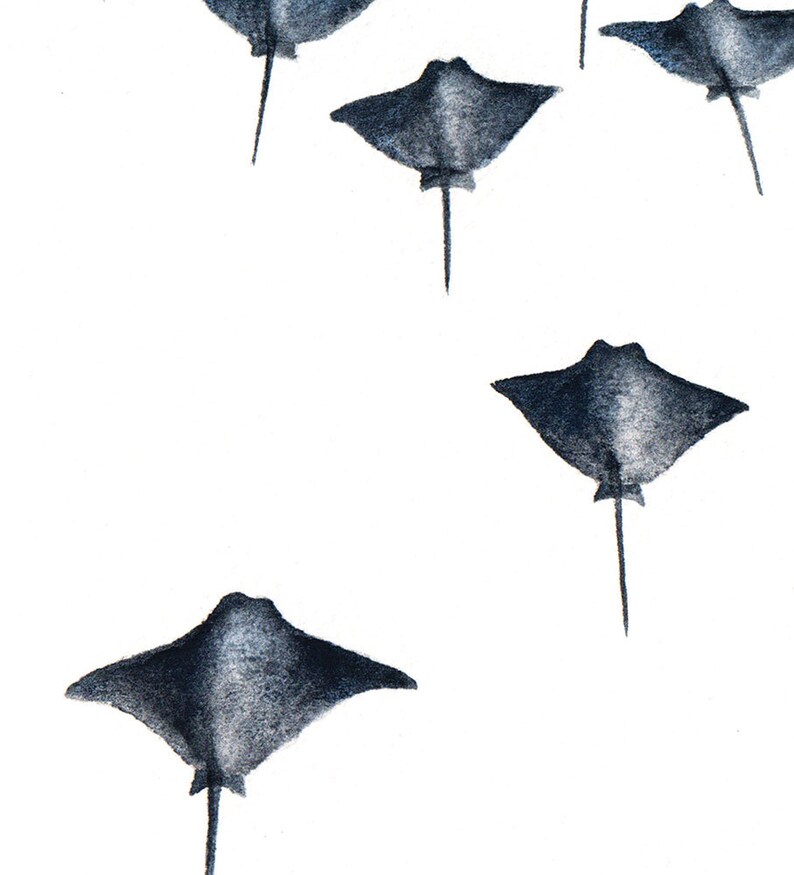 Stingray Printable Art Stingray art Printable Art Digital Etsy