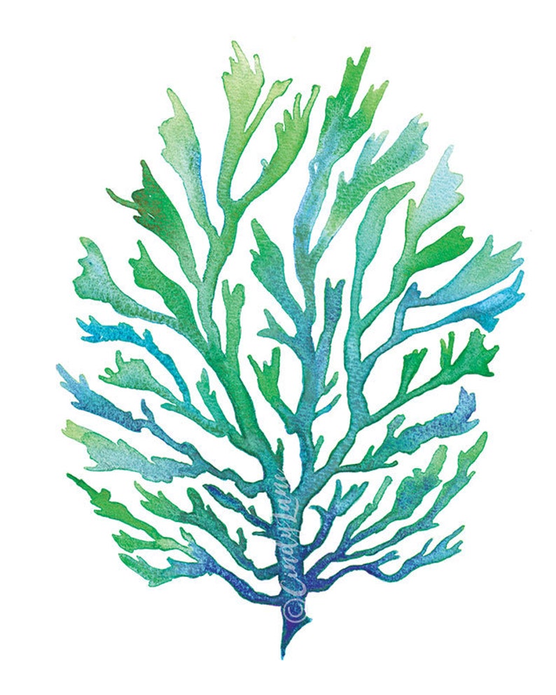 Blue Green Seaweed Watercolor Printable Art Seaweed Printable Etsy