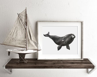 Playa de la ballena derecha descarga instantánea, arte de la ballena, arte imprimible, impresión de descarga digital, impresión de ballena, pintura de ballena, decoración de la casa de la playa
