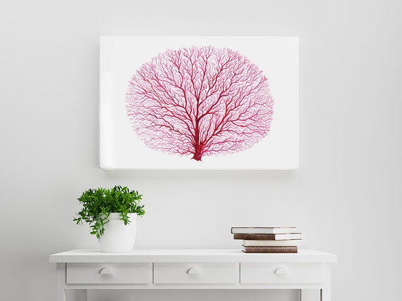 Red Fan Coral Watercolor Printable Art Coral Printable Art | Etsy