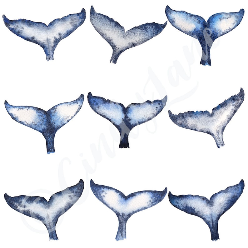 Humpback Whale Tails Printable Watercolor Art, Whale art, Printable Art, Digital Download Print, Humpback print, Whale painting, Beach House image 3