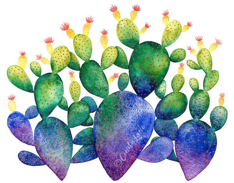 Rainbow Watercolor Cacti Instant Download Cactus Art Cactus - Etsy