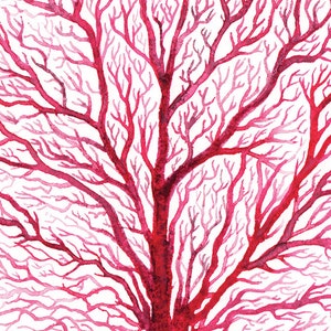 Red Fan Coral Watercolor Printable Art, Coral Printable Art, Digital ...