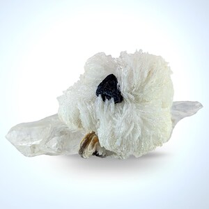 May include: A white mineral specimen featuring a cluster of needle-like crystals and a dark, triangular inclusion. The mineral rests on a clear, elongated crystal, with a smaller, tan inclusion at the base. The overall form is organic and natural.
