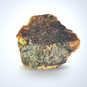 May include: A raw amber stone, with an irregular shape. The interior is dark brown, almost black, with lighter brown and yellow-orange edges. The surface has a textured, uneven appearance.